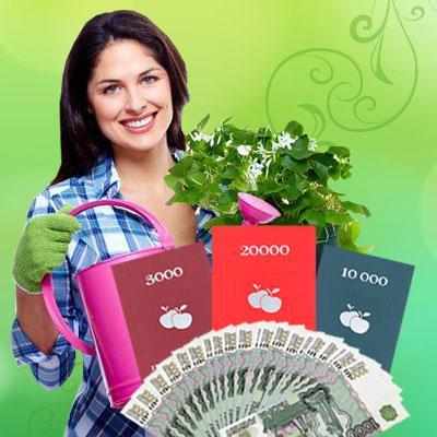 Томат: выращиваем в теплице